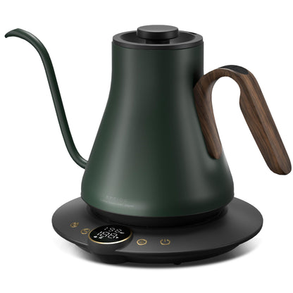 1500W Gooseneck Electric Kettle with Precise Temperature Control
