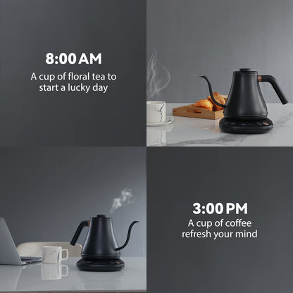 Mecity Electric Kettle Gooseneck Kettle Temperature Control