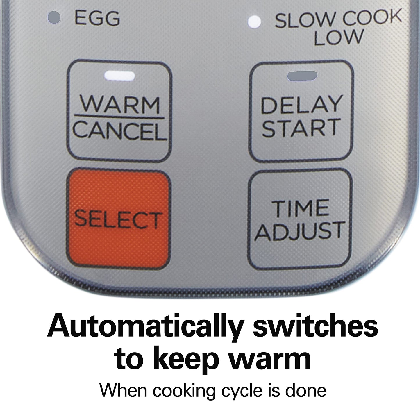 Hamilton Beach Digital Programmable Rice Cooker & Food Steamer